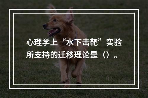 心理学上“水下击靶”实验所支持的迁移理论是（）。