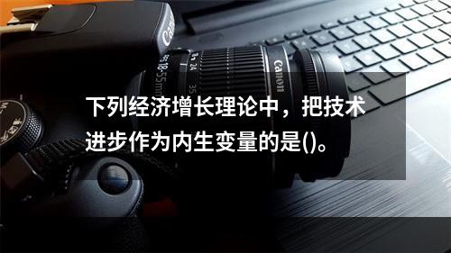 下列经济增长理论中，把技术进步作为内生变量的是()。