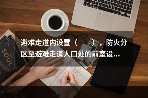 避难走道内设置（  ），防火分区至避难走道人口处的前室设置防