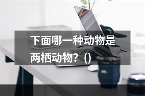 下面哪一种动物是两栖动物？()