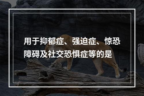 用于抑郁症、强迫症、惊恐障碍及社交恐惧症等的是