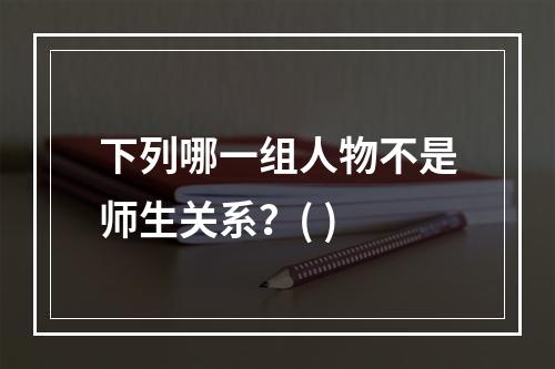 下列哪一组人物不是师生关系？( )