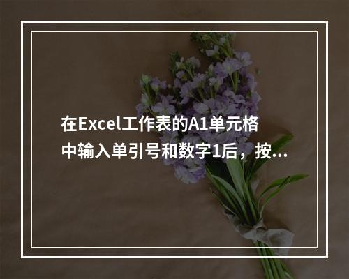 在Excel工作表的A1单元格中输入单引号和数字1后，按回车