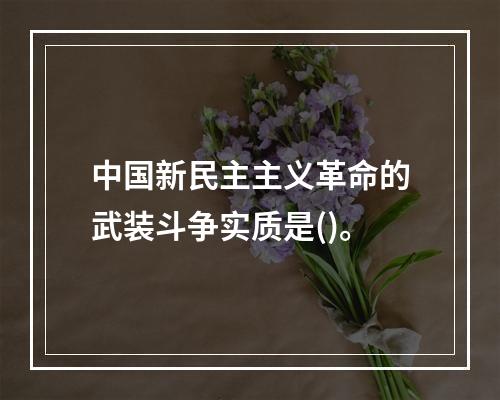 中国新民主主义革命的武装斗争实质是()。