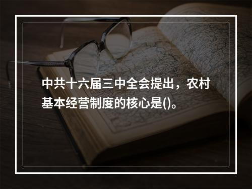 中共十六届三中全会提出，农村基本经营制度的核心是()。