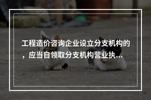 工程造价咨询企业设立分支机构的，应当自领取分支机构营业执照之