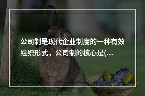 公司制是现代企业制度的一种有效组织形式，公司制的核心是()。