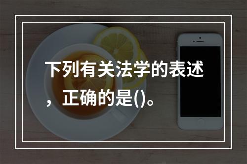 下列有关法学的表述，正确的是()。