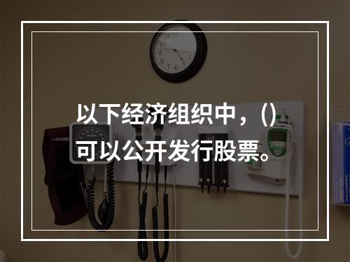 以下经济组织中，()可以公开发行股票。