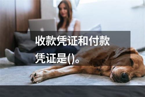 收款凭证和付款凭证是()。