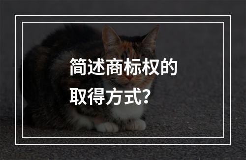 简述商标权的取得方式？