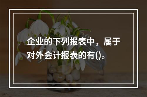 企业的下列报表中，属于对外会计报表的有()。