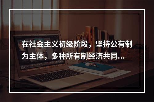 在社会主义初级阶段，坚持公有制为主体，多种所有制经济共同发展