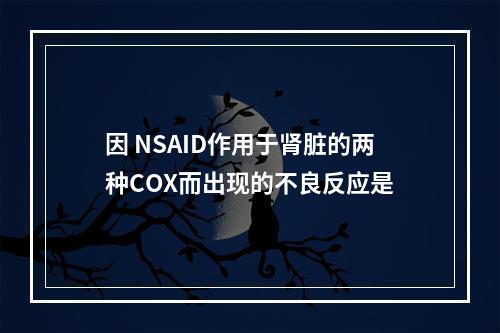 因 NSAID作用于肾脏的两种COX而出现的不良反应是