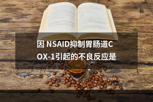 因 NSAID抑制胃肠道COX-1引起的不良反应是