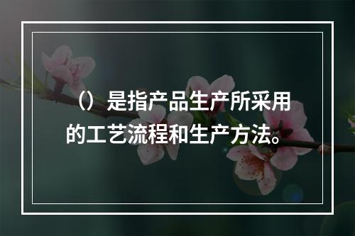 （）是指产品生产所采用的工艺流程和生产方法。