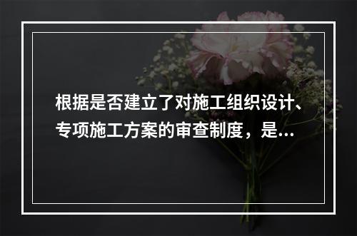 根据是否建立了对施工组织设计、专项施工方案的审查制度，是（