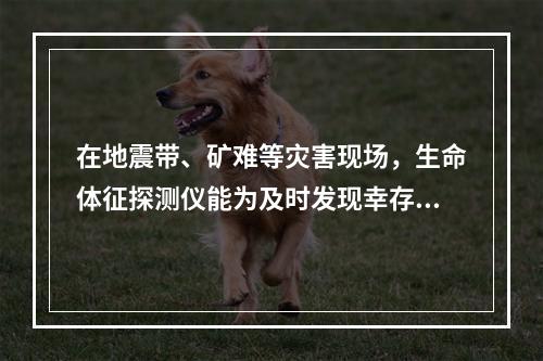 在地震带、矿难等灾害现场，生命体征探测仪能为及时发现幸存者提