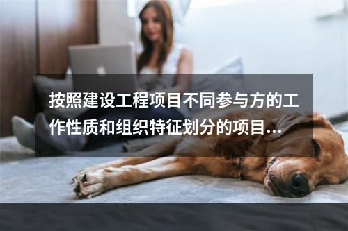 按照建设工程项目不同参与方的工作性质和组织特征划分的项目管理