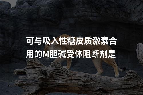 可与吸入性糖皮质激素合用的M胆碱受体阻断剂是