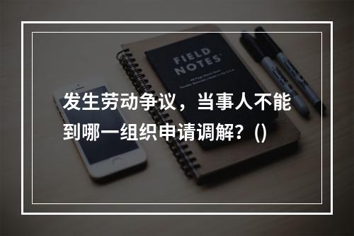 发生劳动争议，当事人不能到哪一组织申请调解？()