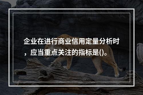 企业在进行商业信用定量分析时，应当重点关注的指标是()。