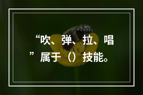 “吹、弹、拉、唱”属于（）技能。