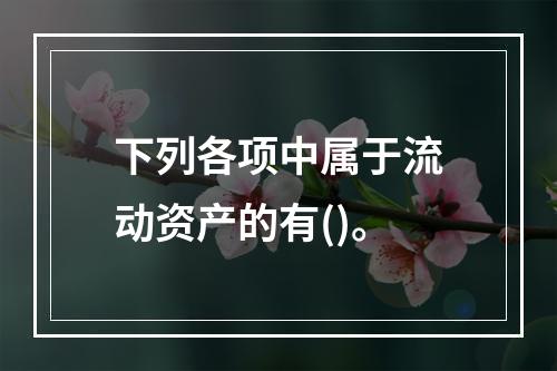 下列各项中属于流动资产的有()。