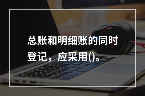 总账和明细账的同时登记，应采用()。