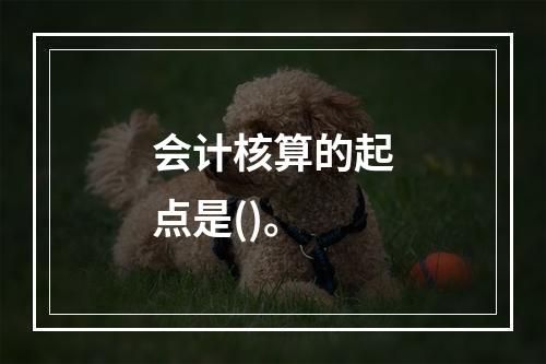 会计核算的起点是()。