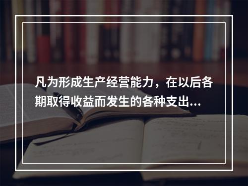 凡为形成生产经营能力，在以后各期取得收益而发生的各种支出，即