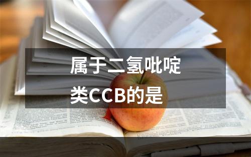 属于二氢吡啶类CCB的是