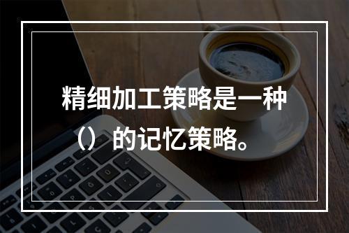 精细加工策略是一种（）的记忆策略。