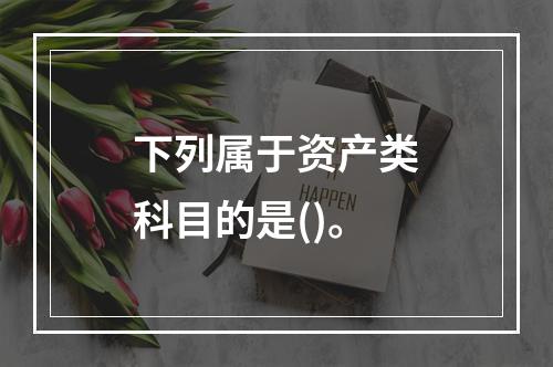 下列属于资产类科目的是()。