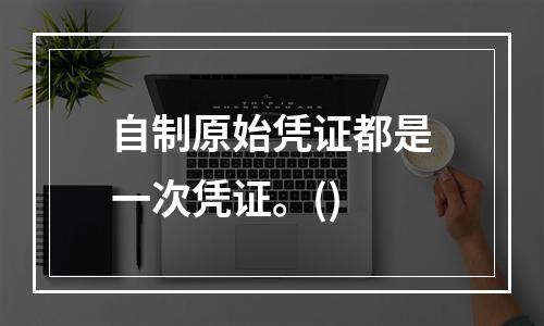 自制原始凭证都是一次凭证。()