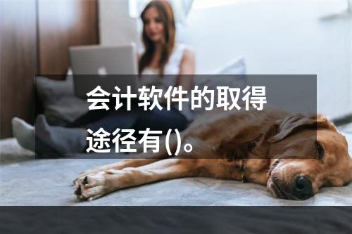 会计软件的取得途径有()。