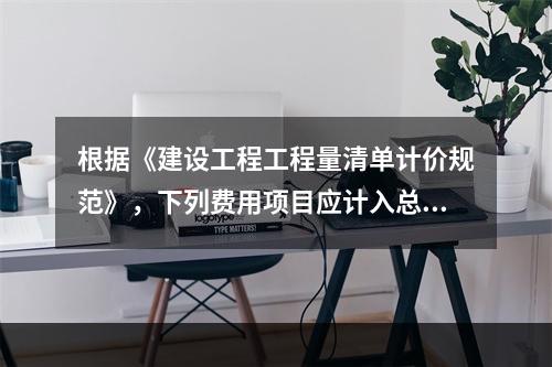 根据《建设工程工程量清单计价规范》，下列费用项目应计入总承包