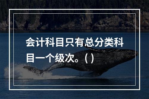 会计科目只有总分类科目一个级次。( )