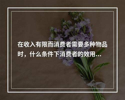 在收入有限而消费者需要多种物品时，什么条件下消费者的效用达到