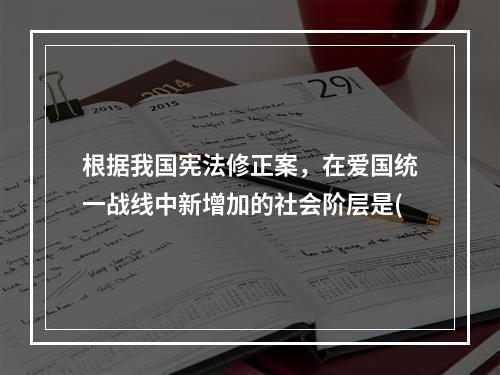 根据我国宪法修正案，在爱国统一战线中新增加的社会阶层是(