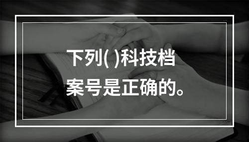 下列( )科技档案号是正确的。