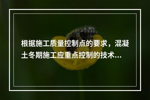 根据施工质量控制点的要求，混凝土冬期施工应重点控制的技术参数