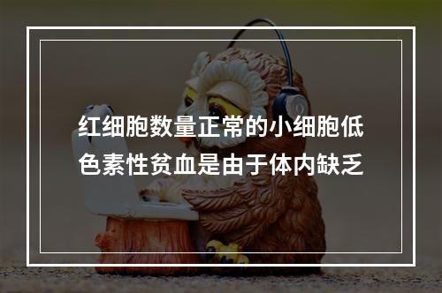 红细胞数量正常的小细胞低色素性贫血是由于体内缺乏