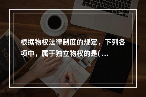 根据物权法律制度的规定，下列各项中，属于独立物权的是( )。