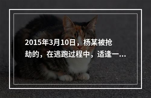 2015年3月10日，杨某被抢劫的，在逃跑过程中，适逢一中年