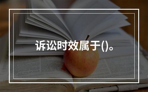 诉讼时效属于()。