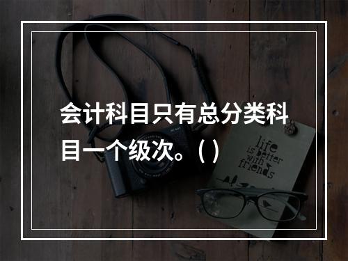 会计科目只有总分类科目一个级次。( )