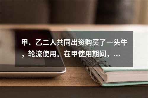 甲、乙二人共同出资购买了一头牛，轮流使用。在甲使用期间，一天