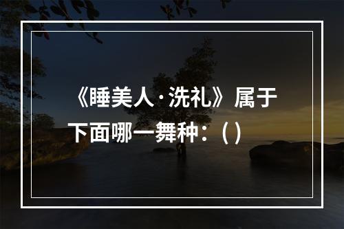 《睡美人·洗礼》属于下面哪一舞种：( )