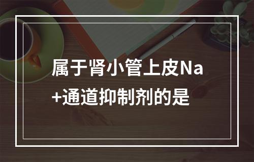 属于肾小管上皮Na+通道抑制剂的是